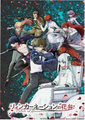 乘风2024 影视大全最新版